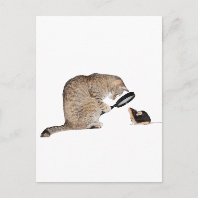 Hello?! Postcard (Front)