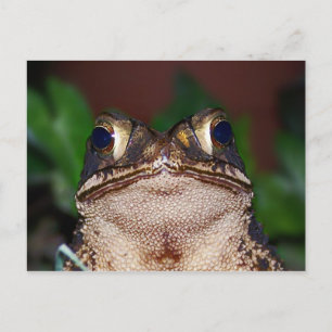 Hello! Postcard