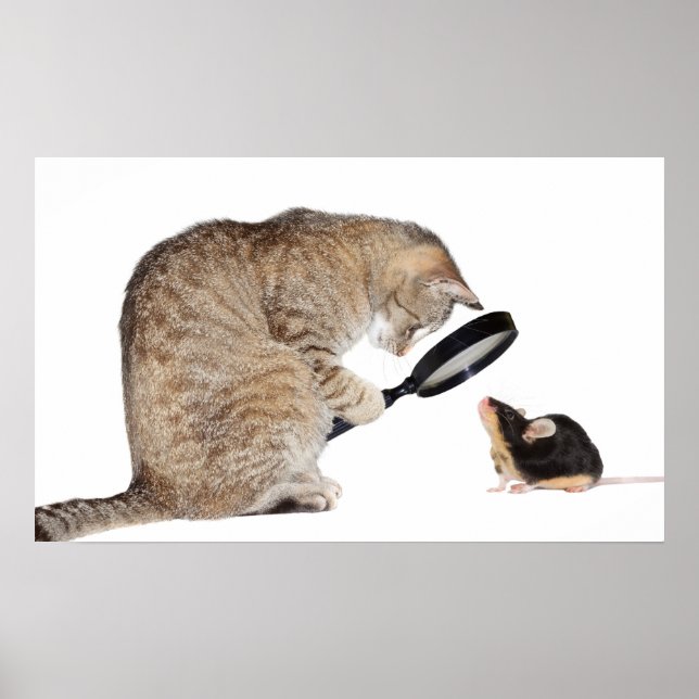 Hello!? Poster (Front)