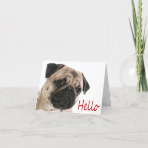 Hello Pug Puppy Dog Blank Note Card
