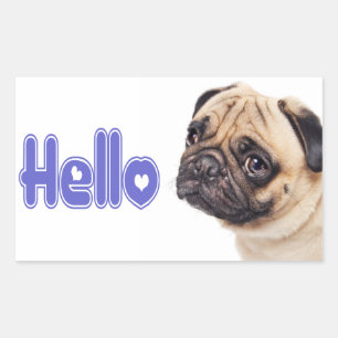 Hello Pug Puppy Dog Sticker / Label