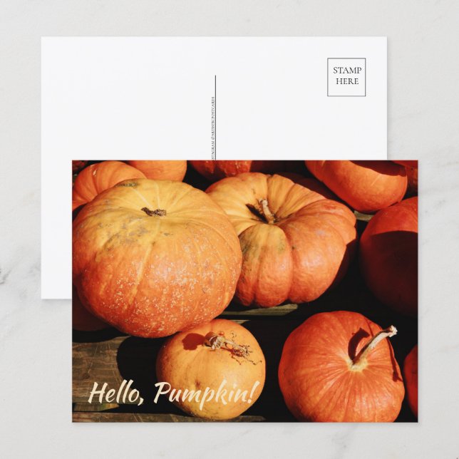 Hello, Pumpkin! Holiday Postcard (Front/Back)