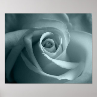 Hello Rose Poster