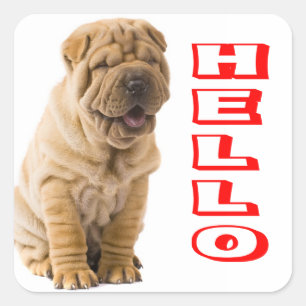 Hello Shar Pei Puppy Dog Sticker / Seals