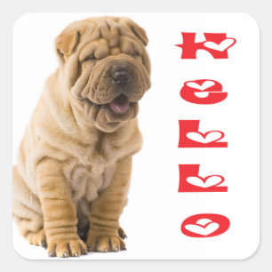Hello Shar Pei Puppy Dog Sticker / Seals