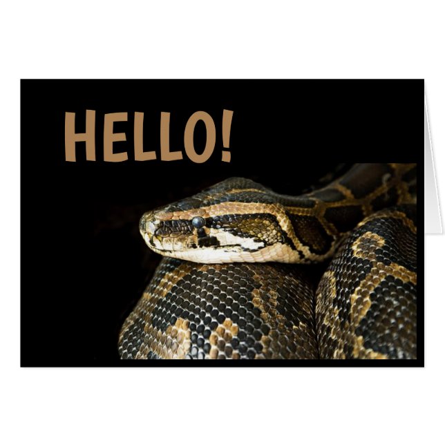 "HELLO"/ Snake, Blank Greeting Card (Front Horizontal)