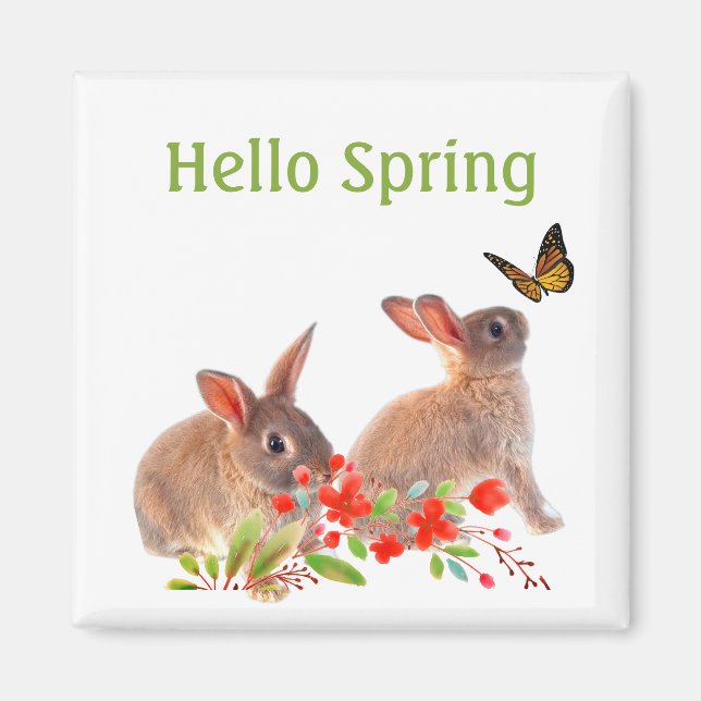 Hello Spring Bunny Rabbit and Butterfly Magnet (Front)