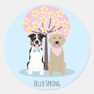 Hello Spring Dogs By Cherry Blossom Tree  Classic Round Sticker