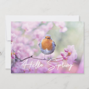 "Hello Spring" Spring Flowering Tree & Robin Bird Holiday Card