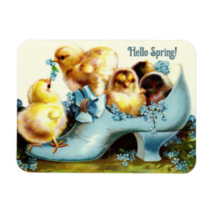 Hello Spring. Vintage Easter Chicks Gift Magnets
