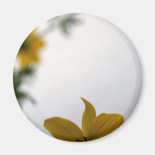 Hello Spring Yellow Flowers Magnet
