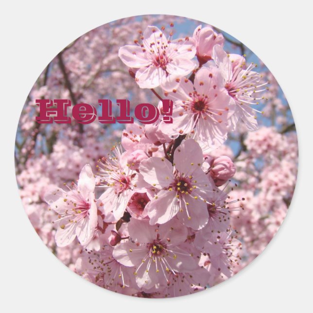 Hello! stickers Pink Tree Blossom Flowers Florals (Front)