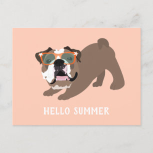 Hello Summer English Bulldog Orange Postcard