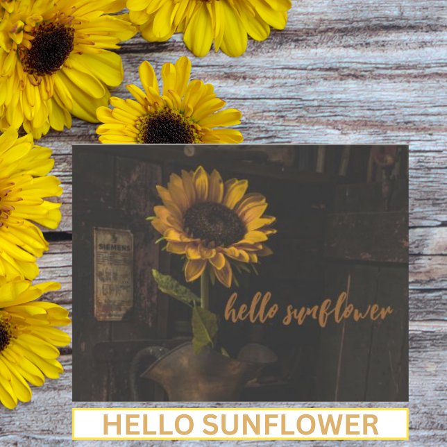 Hello Sunflower Vintage  Postcard (Creator Uploaded)
