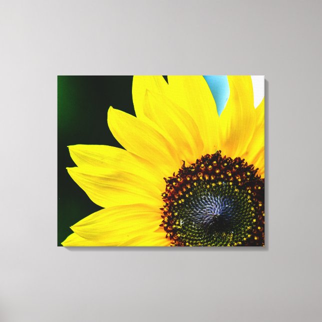 Hello Sunshine Sunflower Canvas Print (Front)