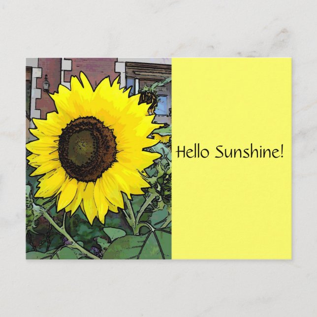 Hello Sunshine Sunflower Postcard (Front)