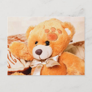 Hello teddy bear postcard