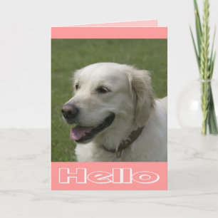 Hello, Thinking Of You Golden Retriever Puppy Card
