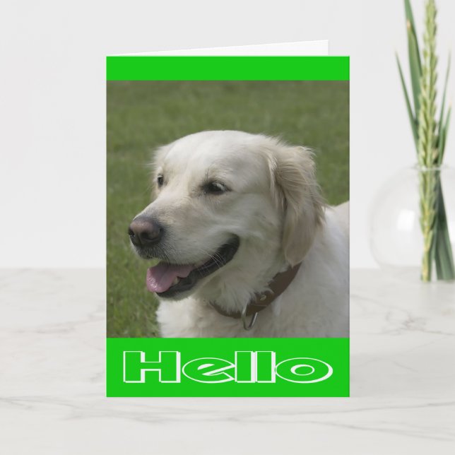 Hello, Thinking Of You Golden Retriever Puppy Card (Front)