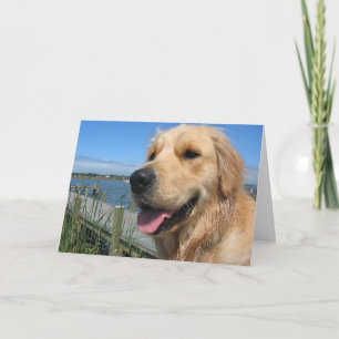 Hello, Thinking Of You Golden Retriever Puppy Card