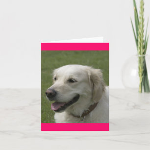 Hello, Thinking Of You Golden Retriever Puppy Card