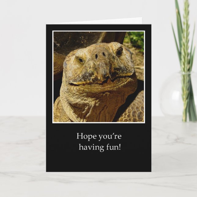 Hello to Camper Smiling Turtle Card (Front)