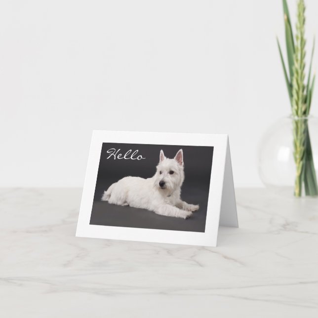 Hello West Highland Terrier Blank Note Card (Front)