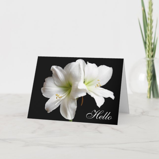 Hello White Lily Flower Greeting Card on Black (Front)