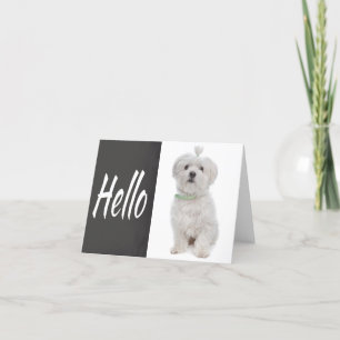 Hello White Maltese Puppy Dog Chalkboard Note Card