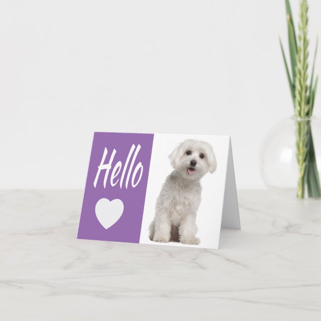 Hello White Maltese Puppy Dog Purple Heart Notecar Card (Front)