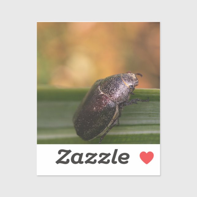 Hello World! (Sheet)