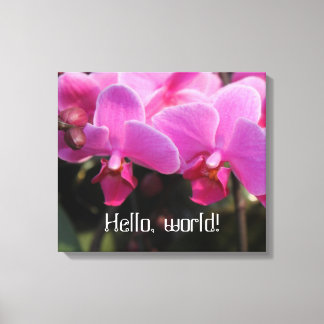 hello world pink orchid flowers canvas print
