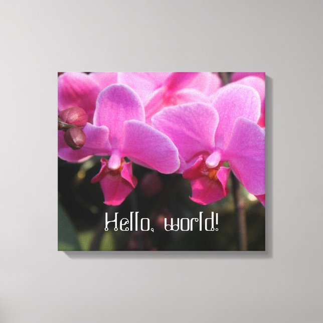 hello world pink orchid flowers canvas print (Front)