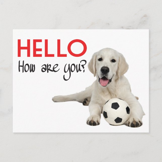 Hello Yellow Labrador Retriever Post Card (Front)