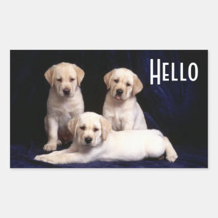 Hello Yellow Labrador Retriever Puppy Dog Stickers