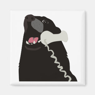HELLO YES THIS IS DOG telephone phone Magnet