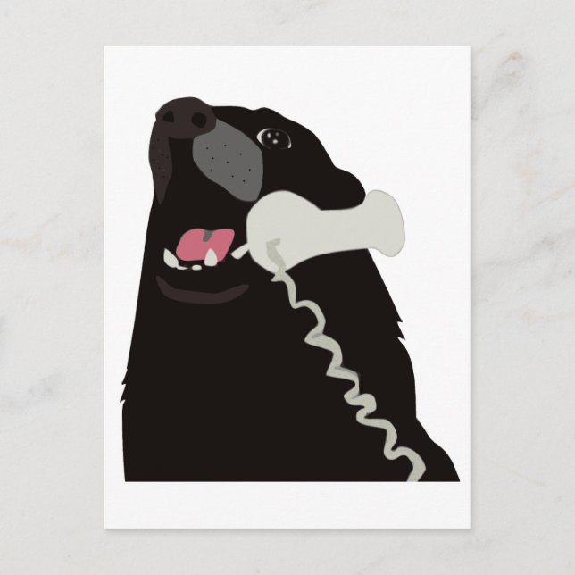 HELLO YES THIS IS DOG telephone phone Postcard (Front)