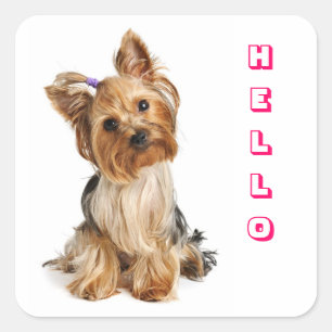 Hello Yorkshire Terrier Yorkie Puppy Dog Stickers