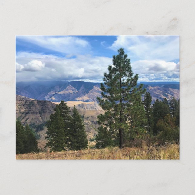 Hells Canyon Scenic Byway, OR Postcard (Front)