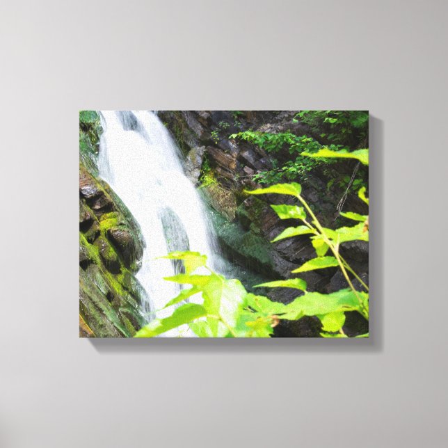 Hell's Gate Canyon waterfall Canvas Print (Front)