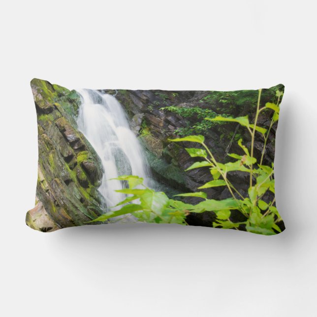 Hell's Gate Canyon waterfall Lumbar Cushion (Front)