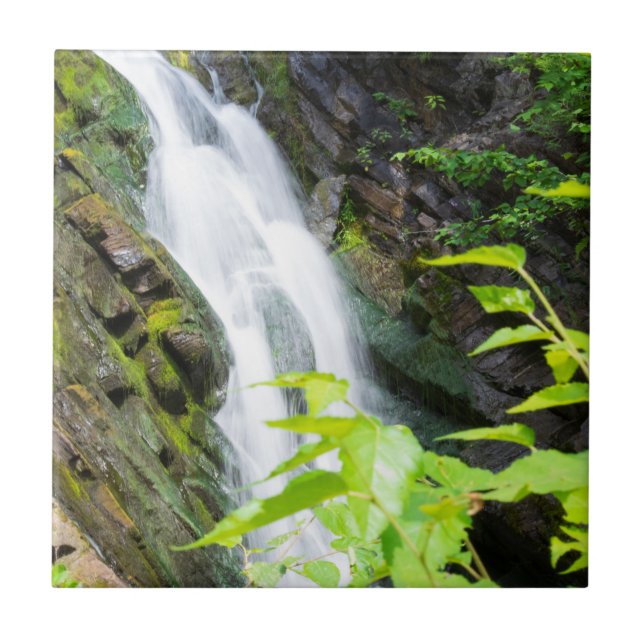 Hell's Gate Canyon waterfall Tile (Front)