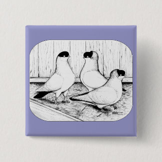 Helmet Pigeon Trio 15 Cm Square Badge