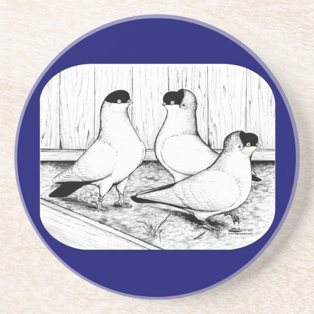 Helmet Pigeon Trio Coaster (Front)