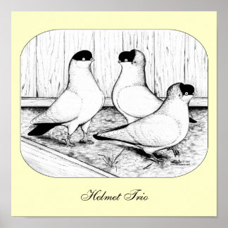 Helmet Pigeon Trio Poster