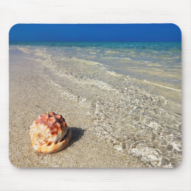 Helmet Shell In Tropical Lagoon| Cassis Rufa Mouse Pad (Front)
