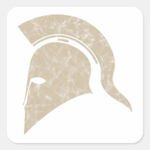 helmet square sticker