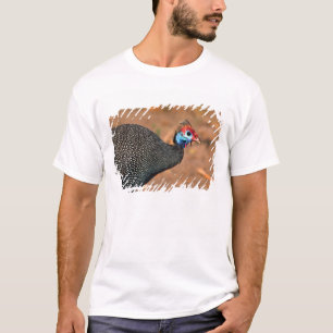 Helmeted Guinea Fowl (Numida meleagris). Africa, T-Shirt