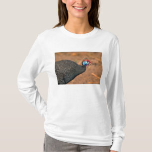 Helmeted Guinea Fowl (Numida meleagris). Africa, T-Shirt