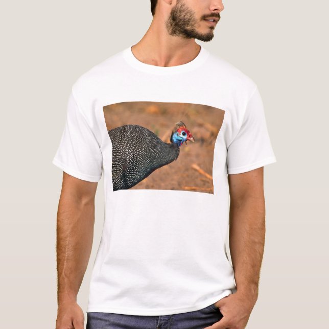 Helmeted Guinea Fowl (Numida meleagris). Africa, T-Shirt (Front)